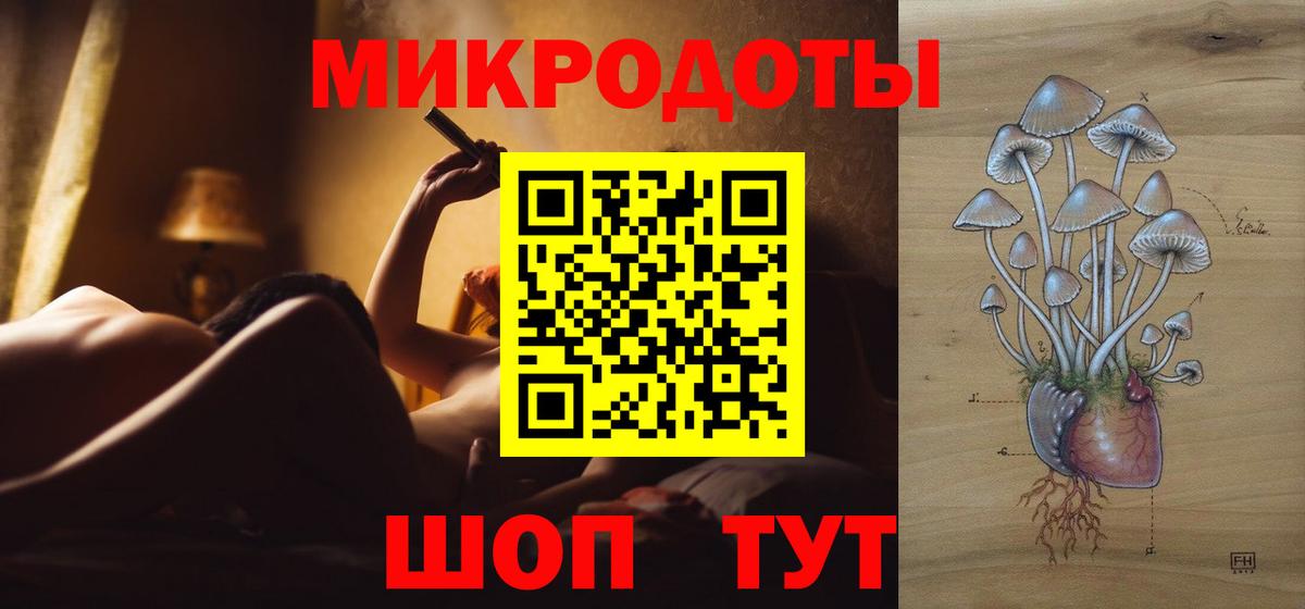 Галлюциногенные грибы Psilocybine cubensis  Вход с VPN  Избербаш 